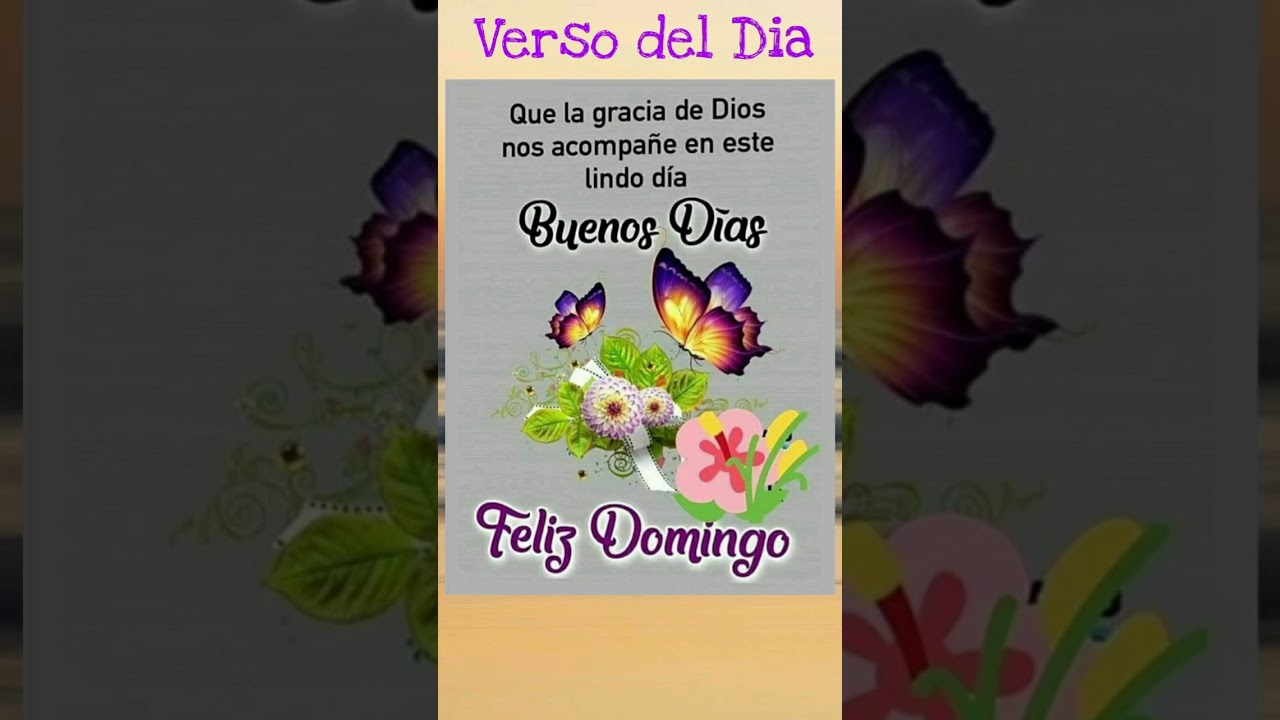 Feliz Domingo y Bendiciones Familia y Amigos