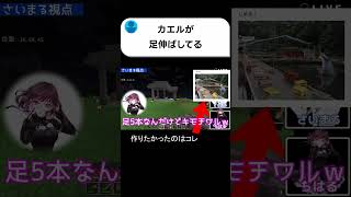 彼の中では釣り堀　#shorts #マイクラ #ライブ配信 #歌ってみた #新人歌い手グループ  #切り抜き