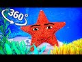Gegagedigedagedago Oceanic In 360 Video VR 8K Oceanic Gegagedigedagedago Meme