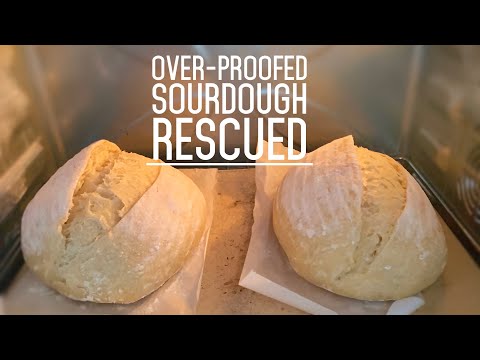How To Rescue an Overproofed Sourdough and Still Gets Open Crumbs & EAR 如何挽救过度发酵欧包，还能有兔耳！