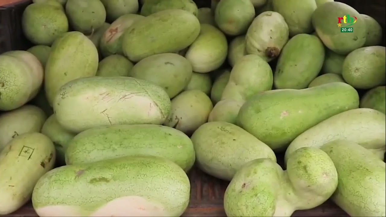 AES Actualités : Yacouba ag Mohamed, un modèle dans la production de fruits et légumes au Mali