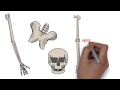 1 2 5 Skeleton Song