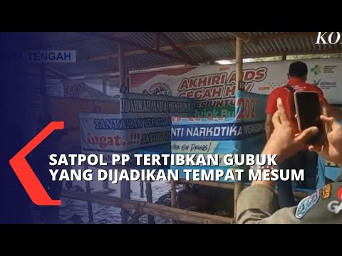 Pasca Viral Video Mesum di Tegal, Satpol PP Tertibkan Gubuk di Pantai Muarareja Indah