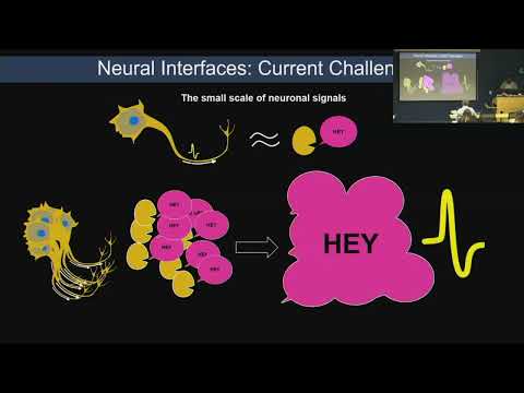 Developing Optogenetic Neuronal Networks for Circuit Modeling & Biological Neural Interfaces