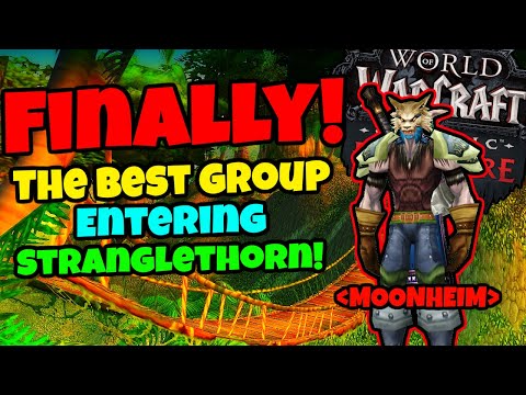 Finally Entering Stranglethorn Vale - The Adventures of Moonheim Part 9