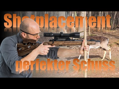 Shotplacement - der perfekte Büchsenschuss auf europäisches Wild