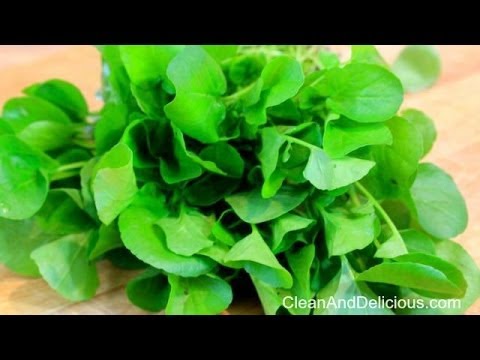 Watercress 101 - Everything You Need To Know