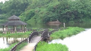 2021大潭埤旺萊公園