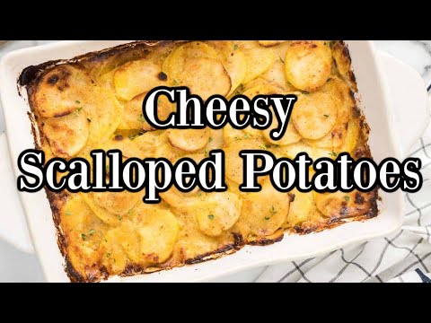 The Best Cheesy Scalloped Potatoes Ever!