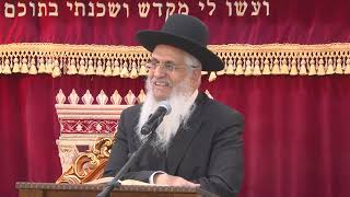 מצוות התורה בפרשת צו | הרב יורם סרי