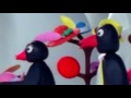 Pingu Full Episodes 19 Pingu Full Best Collection 2016 Cartoon For Kids
