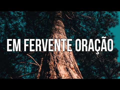 Em Fervente Oração - 577 Harpa Cristã | 1 Hora De Música Gospel Instrumental Piano + Pads Worship