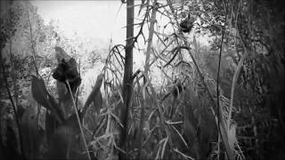Moonspell...     Wolfshade(A Werewolf Masquerade) home video