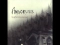 Anacrusis - Present Tense 