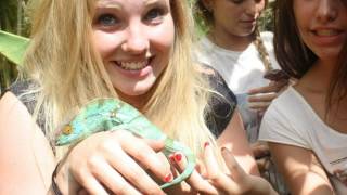 DECOUVERTE SEJOURS DIABOLO MENTHE