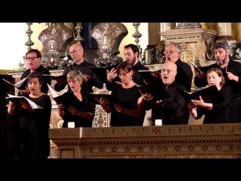 download lagu mp3 mp4 Costanzo Porta, download lagu Costanzo Porta gratis, unduh video klip Costanzo Porta