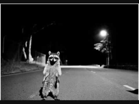 Dj Manny Marc Do Wah Diddy ORGI PÖRNCHEN.wmv