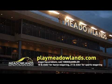 2022  Harness Racing