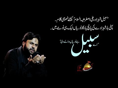 Nohay 2019 | Sabeel Ha Loriyan Waly Di | Zawar Qurban Jaffri | New Noha 2019