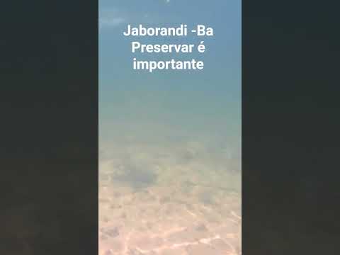 Rio em Jaborandi- Ba preservação é importante #pescacombambu #pesca #peixe