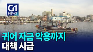 [G1뉴스]귀어 자금 악용까지.. 대책 시급