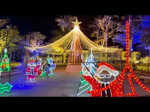 ALUMBRADOS NAVIDEÑOS 2025 I Buenavista I Pijao y Córdoba QUINDÍO