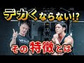 【山本先生コラボ】体が大きくならない人の特徴とは⁉