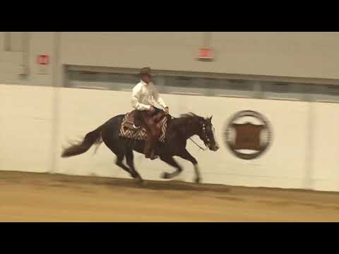 181006 Open Futurity Finals Austin Roush on Gunna Stop