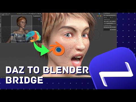udarbejde Catena Arthur Daz To Blender Bridge - morph failing - Daz 3D Forums
