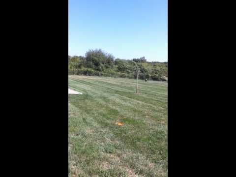 Mike playing frisbee fetch with Gunner