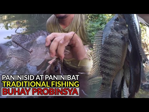 EP06 P1 - SpearFishing : Traditional Fishing - Pananambang ng isda sa ilog | Buhay Probinsya