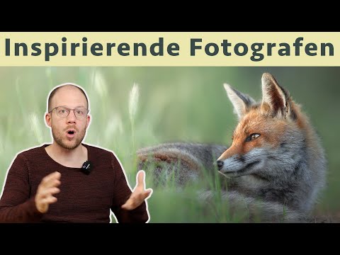 Diese 5 Tierfotografen inspirieren mich