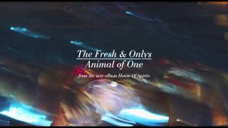 The Fresh & Onlys - Animal of One [Official Single]