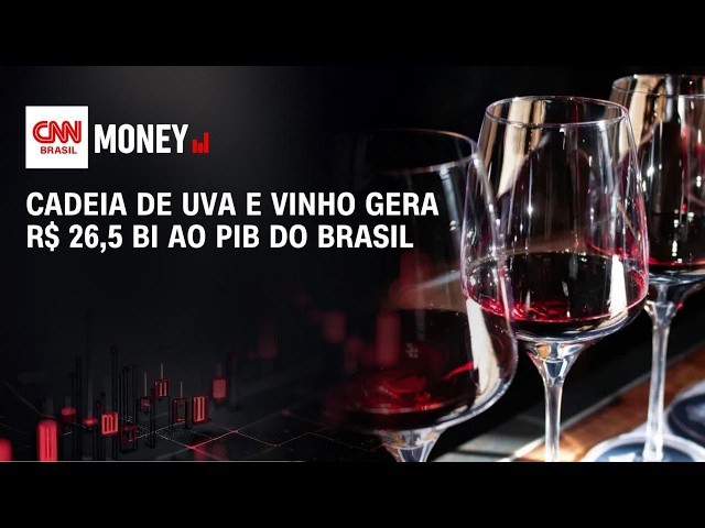 Cadeia de uva e vinho gera R$ 26,5 bi ao PIB do Brasil | CNN AGRO NEWS
