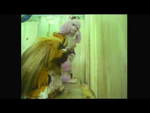 Meet The Feebles: Toilet Scene (1989)