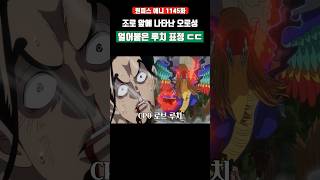 조로 앞에 나타난 오로성과 얼어붙은 루치 표정 ㄷㄷ #원피스 #shorts