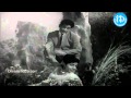 Enta Sogasuga Unnavu Song - Punyavathi Movie Songs - NTR - Shoban Babu - Krishna Kumari