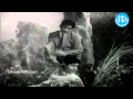 Enta Sogasuga Unnavu Song Punyavathi Movie Songs NTR Shoban Babu Krishna Kumari