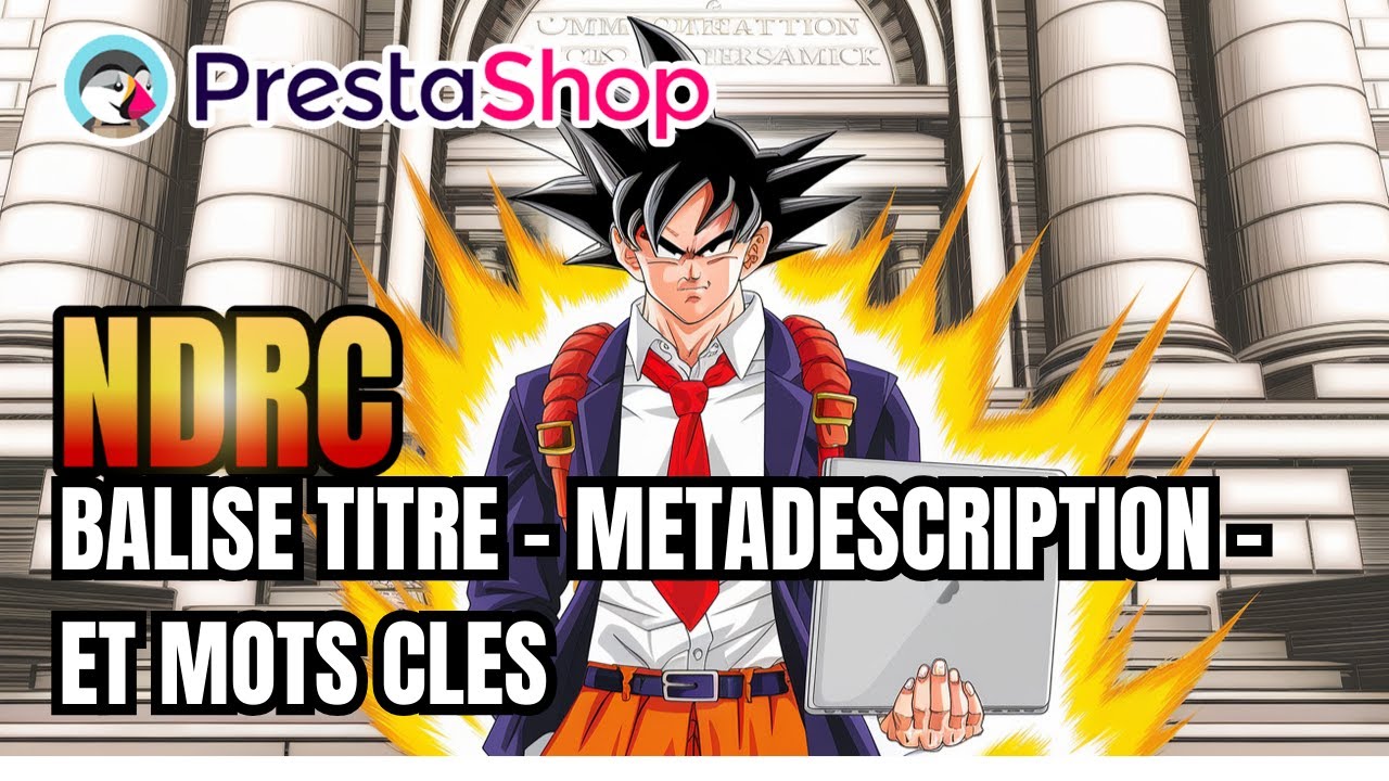 Renseigner un mot-clé, une méta-description et une balise titre