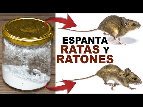 , title : 'Si lo Echas en tu Casa todas las Ratas y Ratones Huirán'