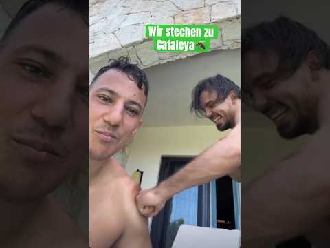 FARID BANG gets punched by CAPITAL BRA!🤣🤣