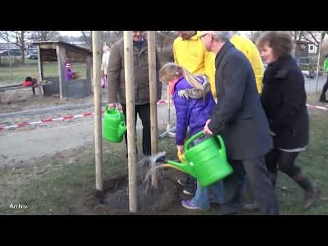 Sachsen: Lebensraum Obstbaum – 1.000 neue Bäume  - LAUSITZWELLE