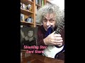 SHOOTING STAR - LENI STERN - MODERN JAZZ GUITAR