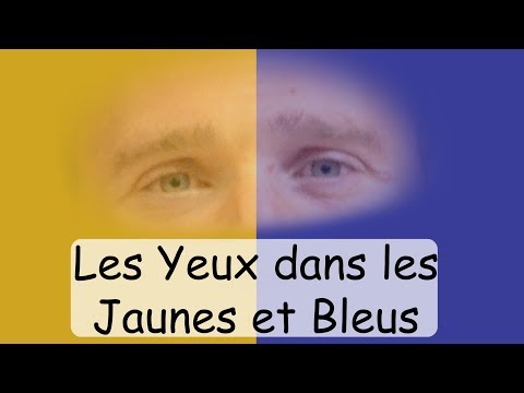 Les Yeux dans les Jaunes et Bleus