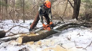 Firewood - Trick to Pre-Process in the Woods