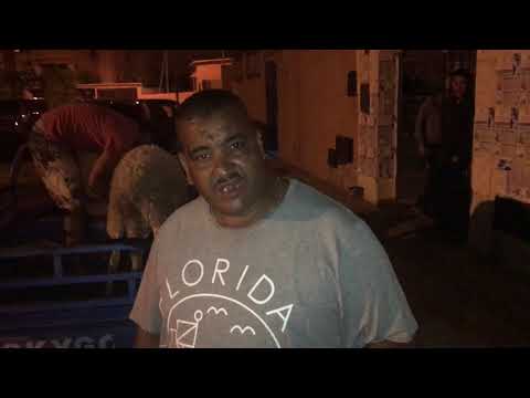 Simo Daher - ولاد الخير طهلاو فخويا نيبا اعطاوه الضحية🐑