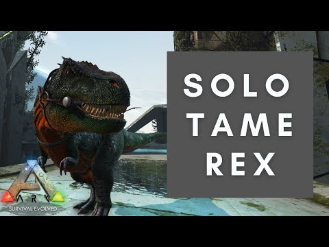 HOW TO SOLO TAME A REX QUICK AND EASY!