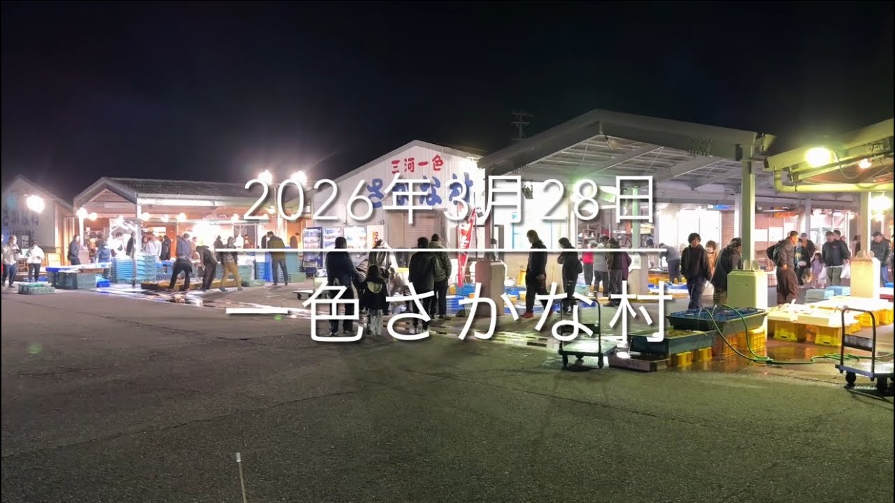 【朝4時】大混雑⁉︎【大漁鮮魚の叩き売り】『一色さかな村』賢い人必見