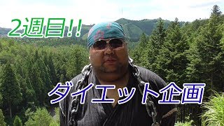 何キロやせたか？【ダイエット企画】2週目