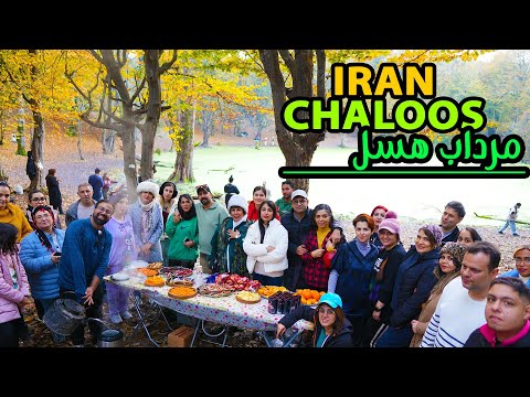 تور مرداب هسل و جنگل مشعل - IRAN CHALOOS 2025
